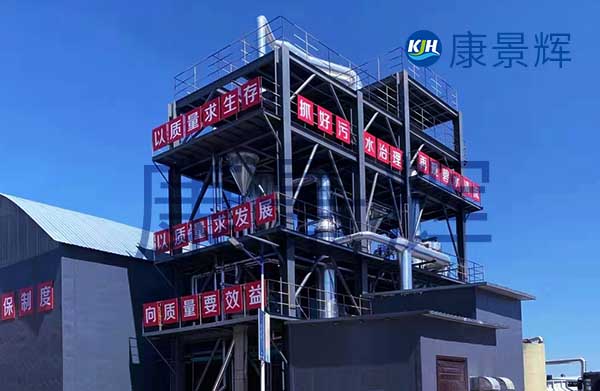 5T/H氯化鈉MVR蒸發(fā)器