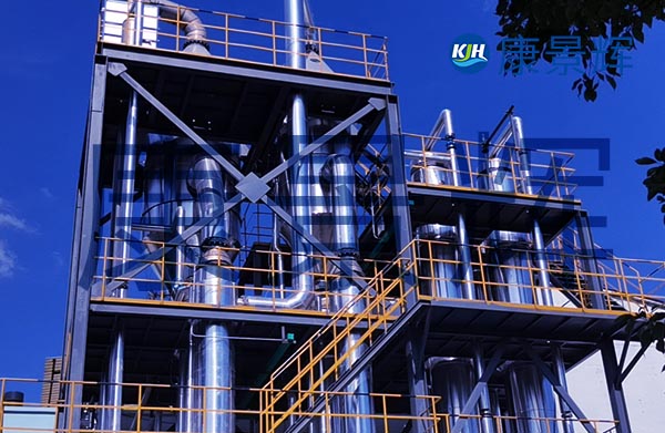 5T/H氟化鉀蒸發結晶設備
