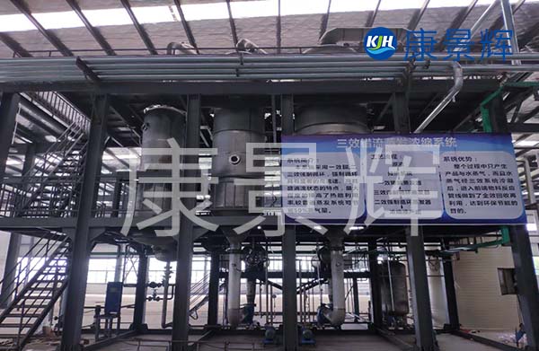 多效降膜蒸發器可以用來濃縮處理廢水，特別適合處理牛奶、淀粉、葡萄糖等食品廠廢水的加工處理中